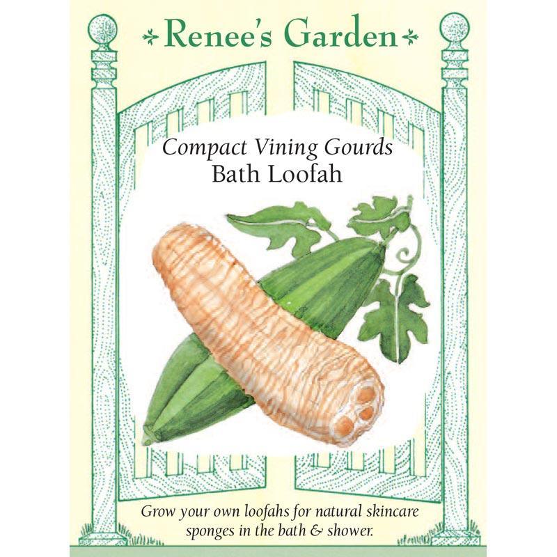 Bath Loofah Compact Vining Gourd Seeds Renee's Garden