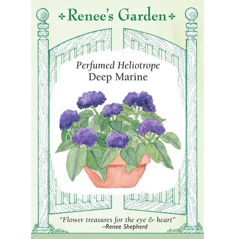 Deep Marine Heliotrope Flower Seeds Renee's Garden