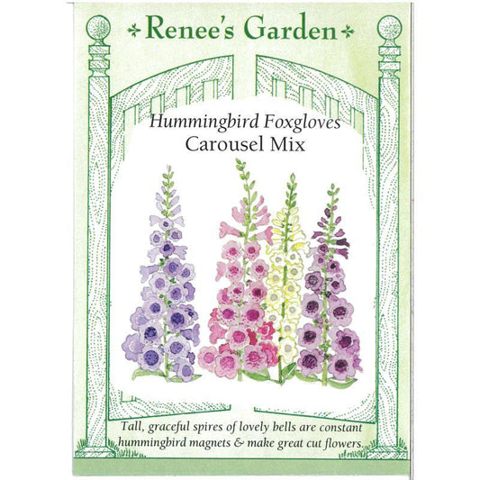 Carousel Hummingbird Foxgloves Flower Seed Mix Renee's Garden