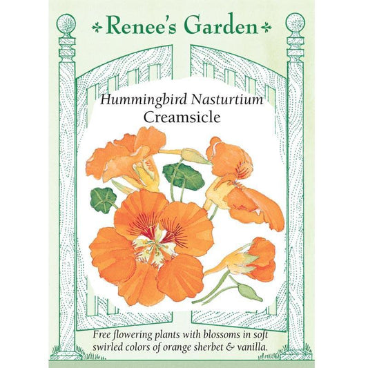 Creamsicle Hummingbird Nasturtium Flower Seeds Renee's Garden