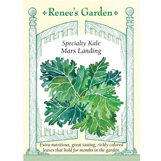 Mars Landing Kale Seeds Renee's Garden