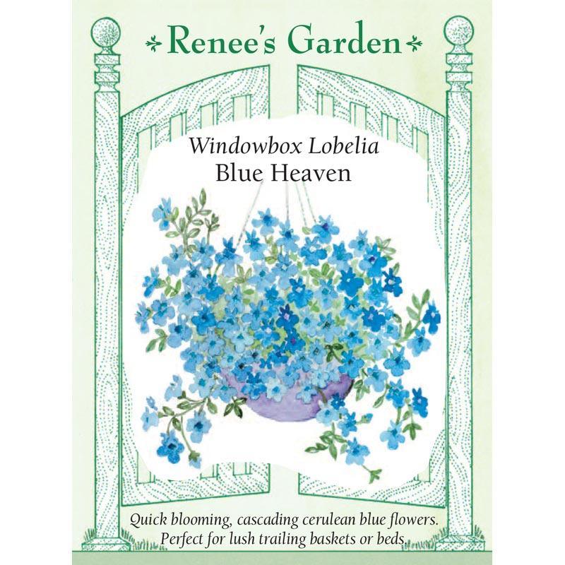 Blue Heaven Windowbox Lobelia Flower Seeds Renee's Garden