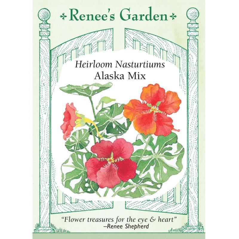 Alaska Nasturtium Flower Seed Mix Renee's Garden