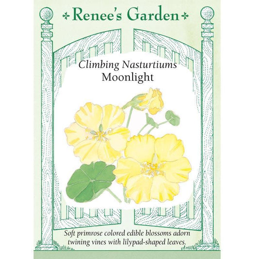 Moonlight Climbing Nasturtium Flower Seeds Renee's Garden