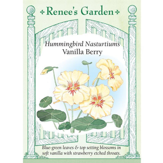 Vanilla Berry Hummingbird Nasturtium Flower Seeds Renee's Garden