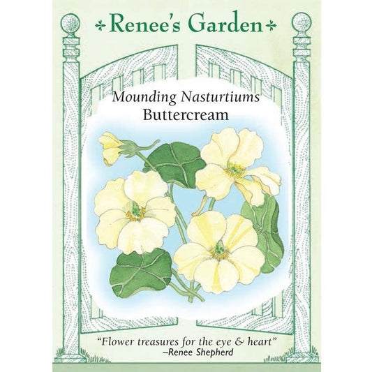 Buttercream Mounding Nasturtium Flower Seeds Renee's Garden
