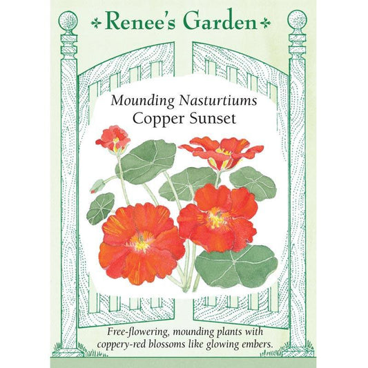 Copper Sunset Mounding Nasturtium Flower Seeds Renee's Garden