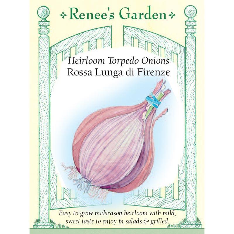 Rossa Lunga di Firenze Onion Seeds Renee's Garden