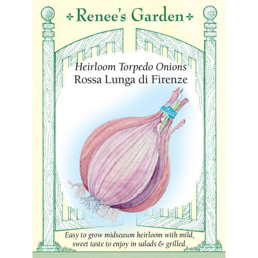 Rossa Lunga di Firenze Onion Seeds Renee's Garden