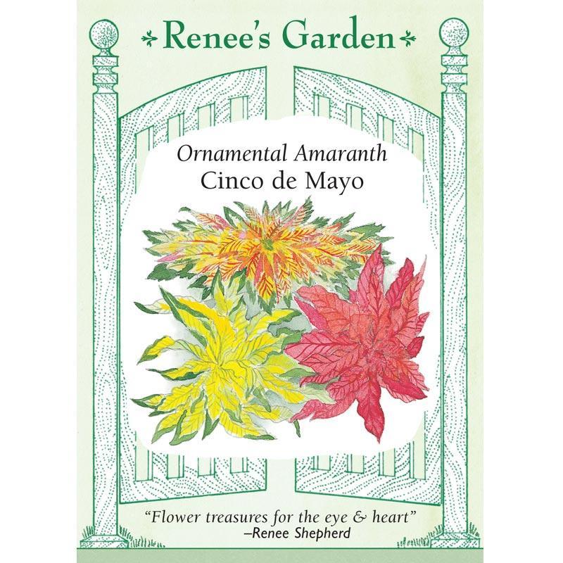 Cinco De Mayo Ornamental Amaranth Flower Seeds Renee's Garden