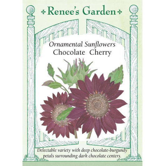 Chocolate Cherry Ornamental Sunflower Flower Seeds Renee's Garden