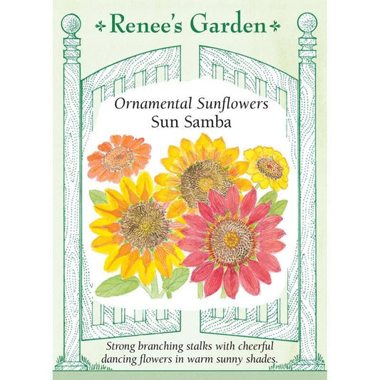 Sun Samba Ornamental Sunflower Flower Seeds Renee's Garden