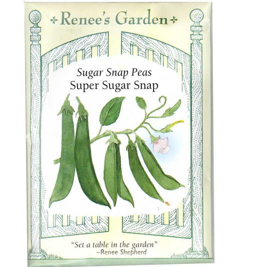 Pea Snap Super Sugar Seeds Renee's Garden