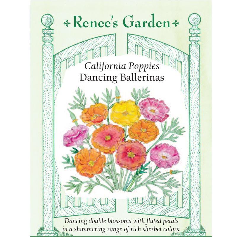Dancing Ballerinas California Poppy Flower Seeds Renee's Garden