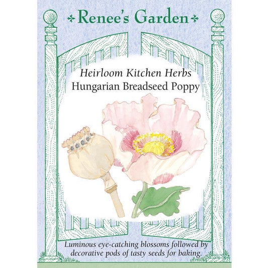 Hungarian Breadseed Poppy Seeds Renee's Garden