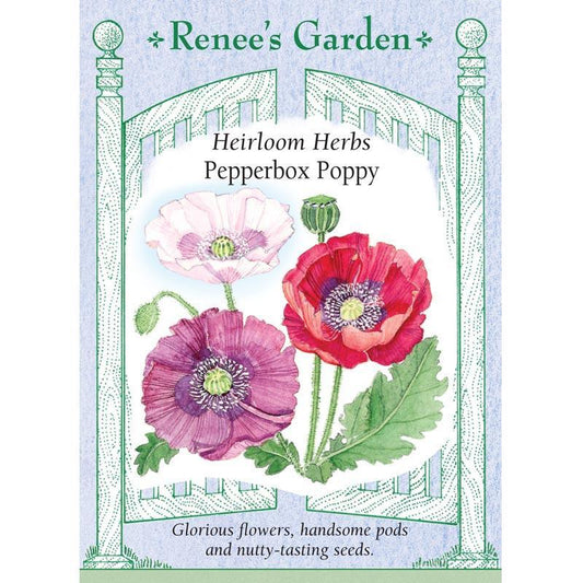 Pepperbox Poppy Seeds Renee's Garden
