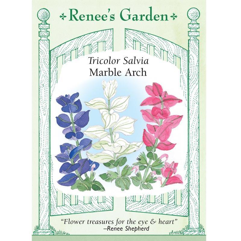 Marble Arch Butterfly Salvia Flower Seeds Renee's Garden