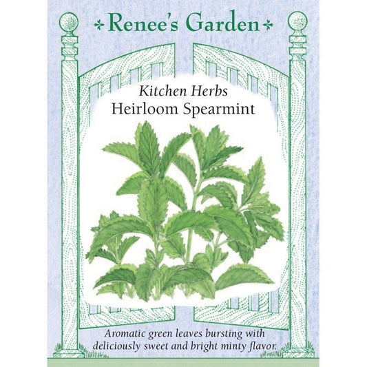Italian Spearmint Seeds Renee's Garden