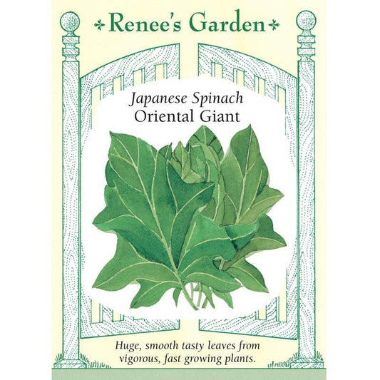 Oriental Giant Japanese Spinach Seeds Renee's Garden