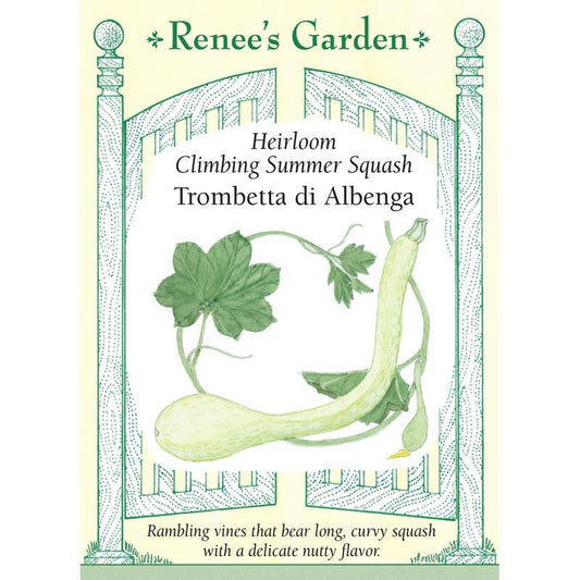 Trombetta di Albinga Climbing Summer Squash Seeds Renee's Garden