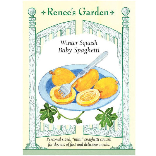 Baby Spaghetti Winter Squash Seeds Renee's Garden