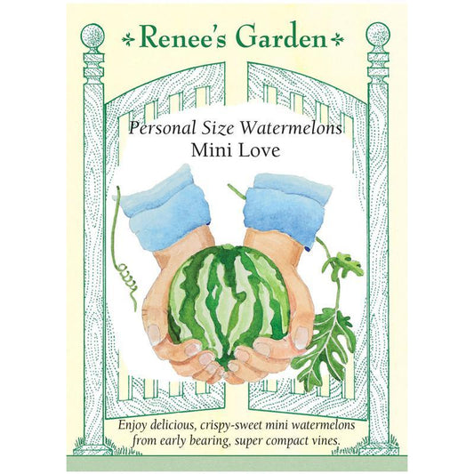 Mini Love Personal Watermelon Seeds Renee's Garden