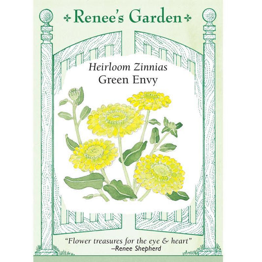 Green Envy Zinnia Flower Seeds Renee's Garden