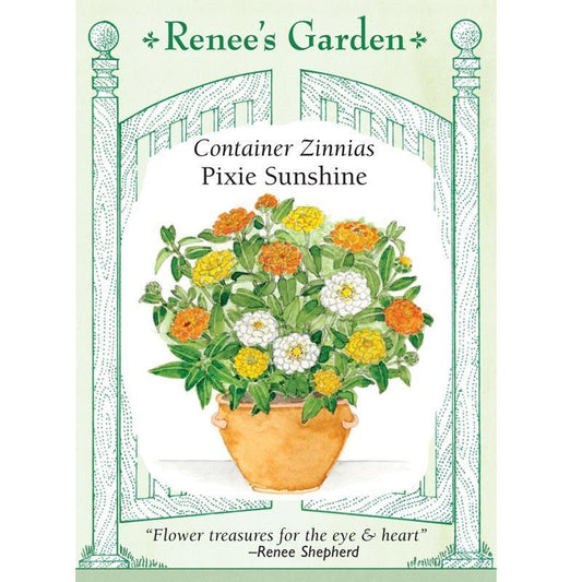 Pixie Sunshine Zinnia Flower Seeds Renee's Garden