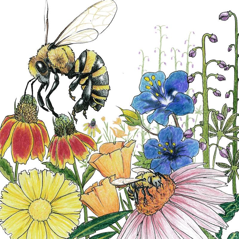 Save the Bees Wildflower Mix (pack) Peaceful Valley