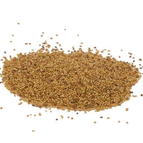 Ladak alfalfa seed