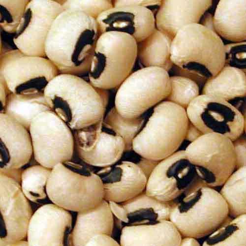 Black eye pea seed