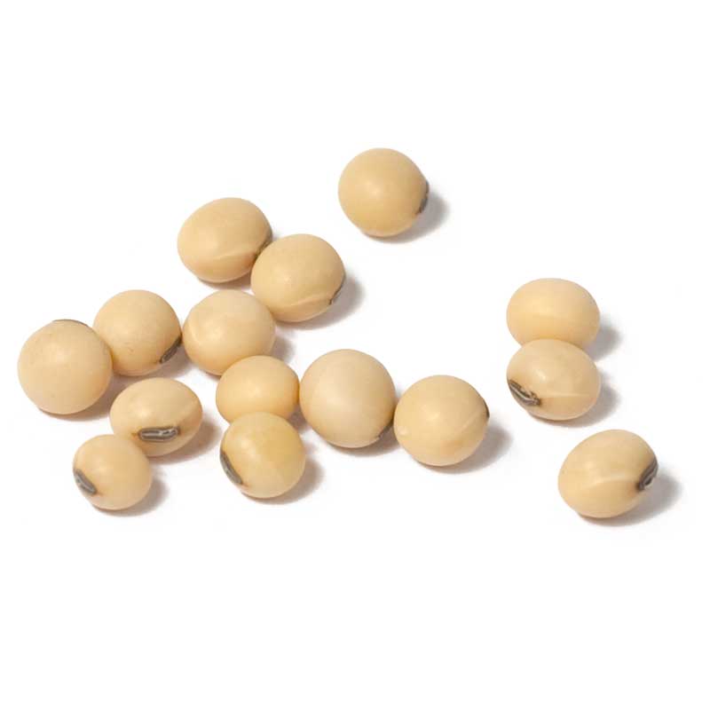 Soybeans - Raw Seed (lb) Grow Organic