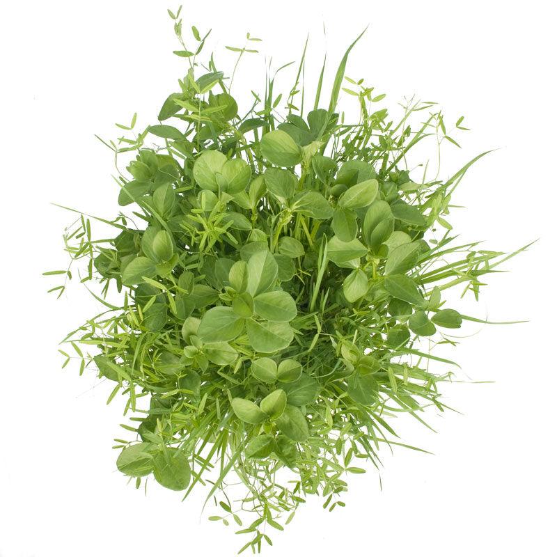 Peaceful Valley Budget Soil Builder Mix - Raw Seed (lb) Peaceful Valley