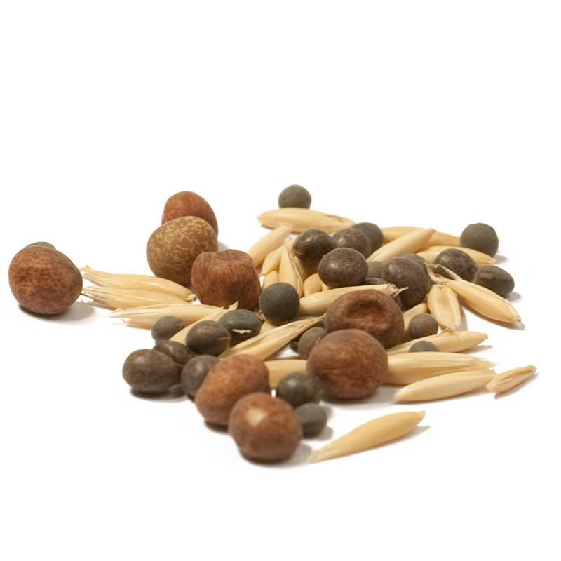 Peaceful Valley Legume Oat Mix #2 - Raw Seed (lb) Peaceful Valley