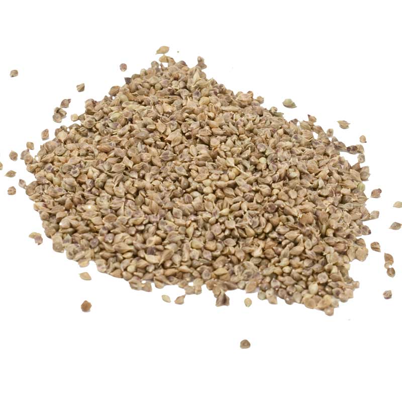 Japanese Millet Seed (lb) Grow Organic