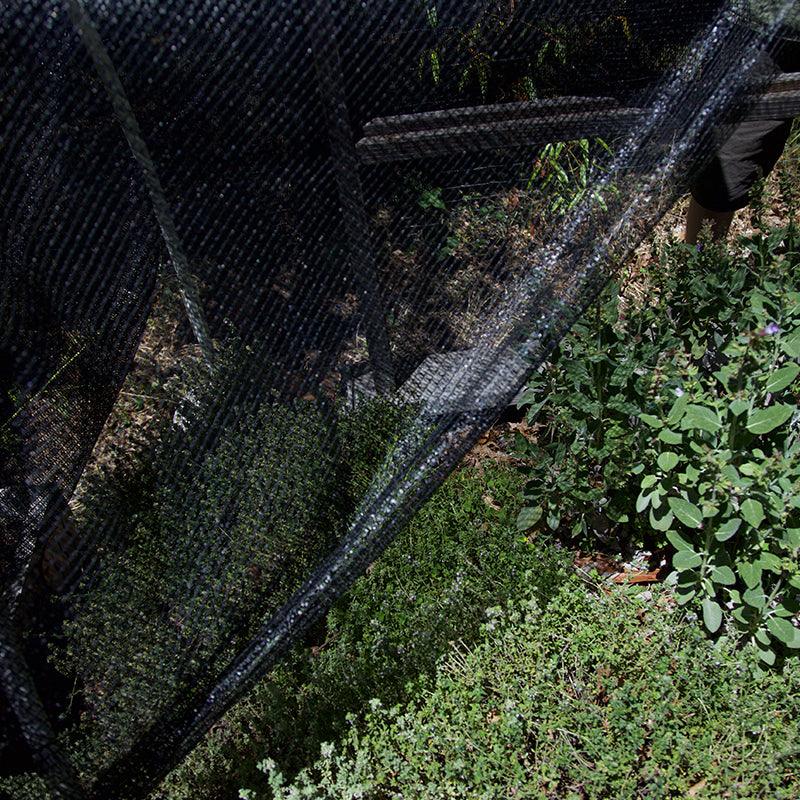 50% Black Knitted Shade Cloth (72" width, sold by the foot) Grow Organic