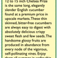 Chelsea Prize English Cucumber Seeds Renee's Garden