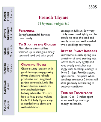 French Thyme Seeds Renee's Garden