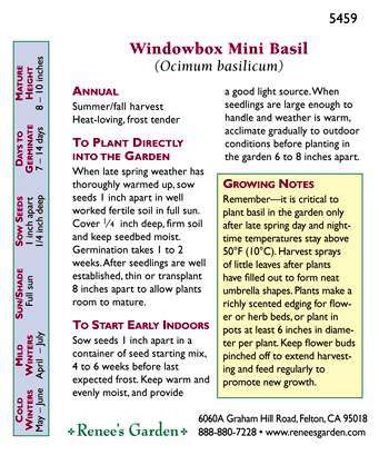Windowbox Mini Basil Seeds Renee's Garden