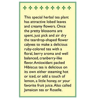 Zinger Herbal Tea Hibiscus Seeds Renee's Garden