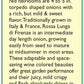 Rossa Lunga di Firenze Onion Seeds Renee's Garden