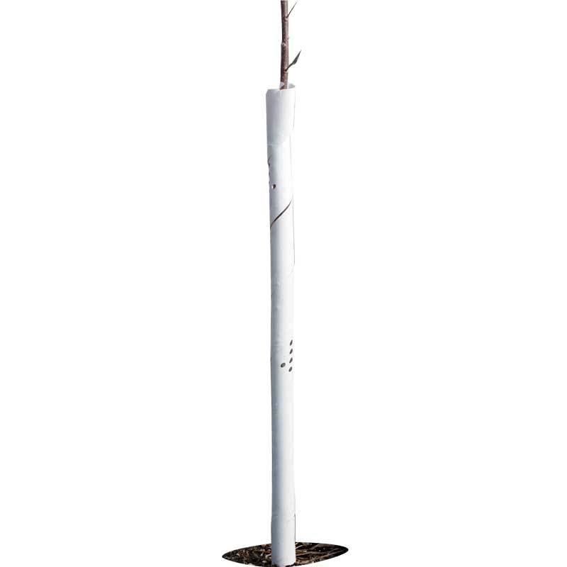 Spiral Tree Guards - 36" (Pack of 5) Grow Organic