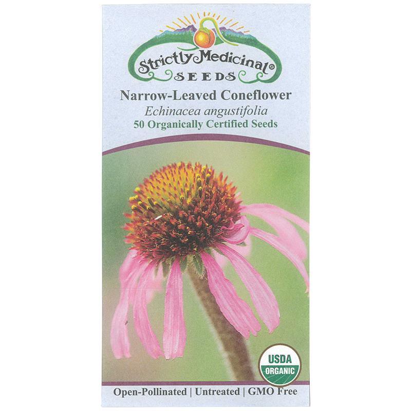 Narrow-leaved Coneflower Seeds (Organic) Strictly Medicinal