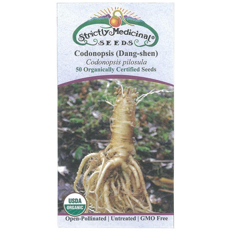Dang-shen pilosula Seeds (Organic) Strictly Medicinal