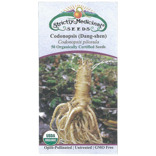Dang-shen pilosula Seeds (Organic) Strictly Medicinal