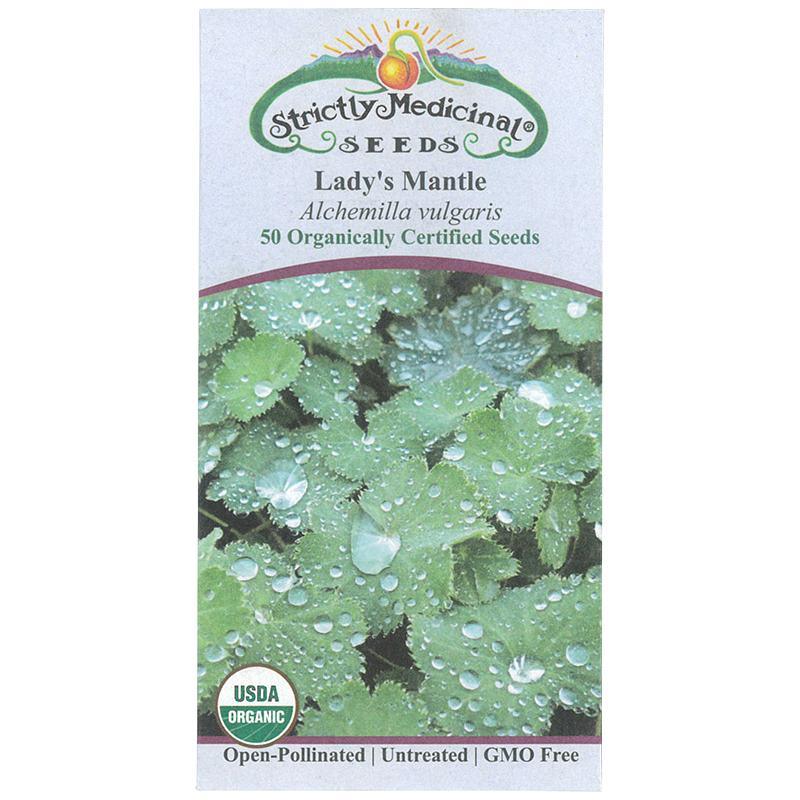 Lady's Mantle Seeds (Organic) Strictly Medicinal
