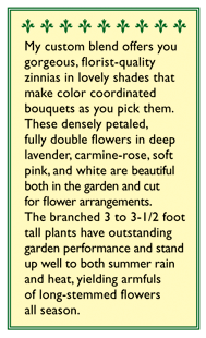 Cool Crayon Colors Cutting Zinnia Flower Seed Mix Renee's Garden