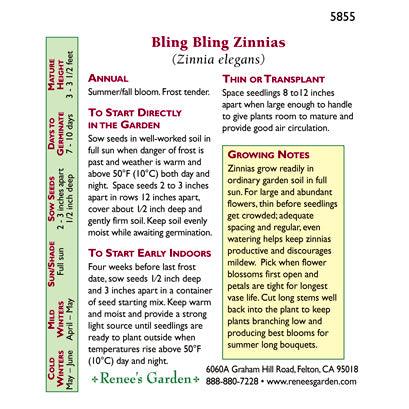 Bling Bling Cutting Zinnia Flower Seeds Renee's Garden