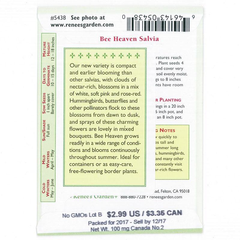 Bee Heaven Container Salvia Flower Seeds Renee's Garden