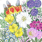 Southwest Wildflower Mix (Pack) Peaceful Valley